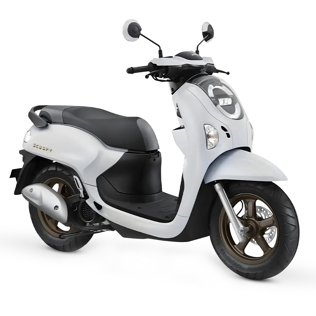 HONDA SCOOPY STYLISH 2025 WHITE