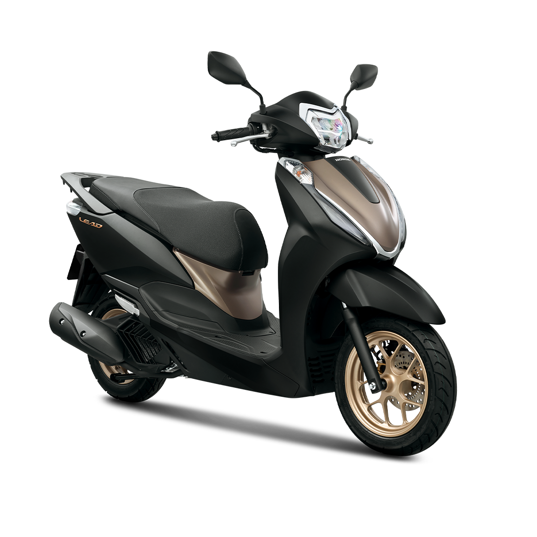 1 Lead 2026 Black Brown (Transparent)