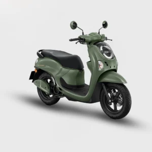 Scoopy Stylish